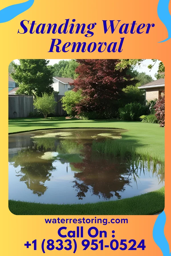 Standing Water Removal in Colton, SD